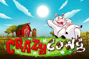 crazy-cows-logo2