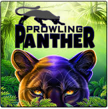 prowling-panther4
